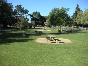 Picnic tables and trees in park