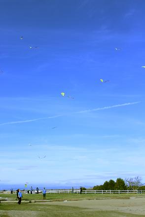 Shoreline Kite Flying Area