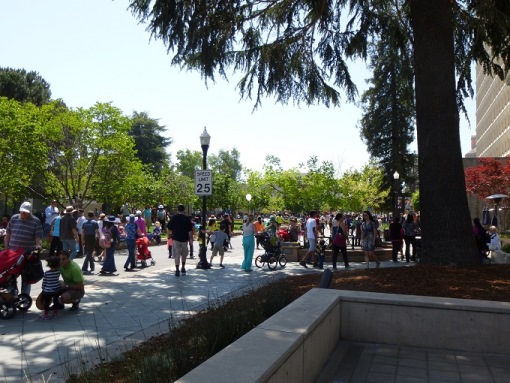 Large group of people standing on sidewalk under a tree