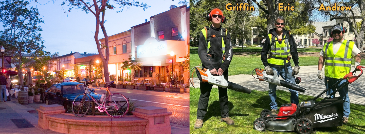 Left downtown mv evening, right 3 workers with electric yard equipment