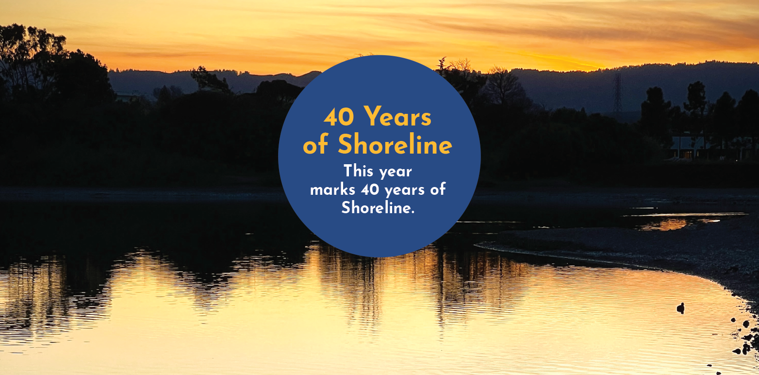 40 yr shoreline