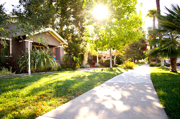 Residential neighborhood sidewalk with sun shining through tree