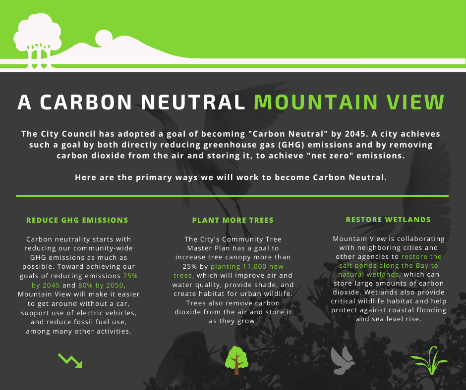 A Carbon Neutral Mountain View plan