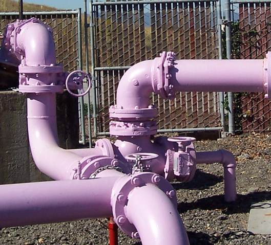 Pink pipes